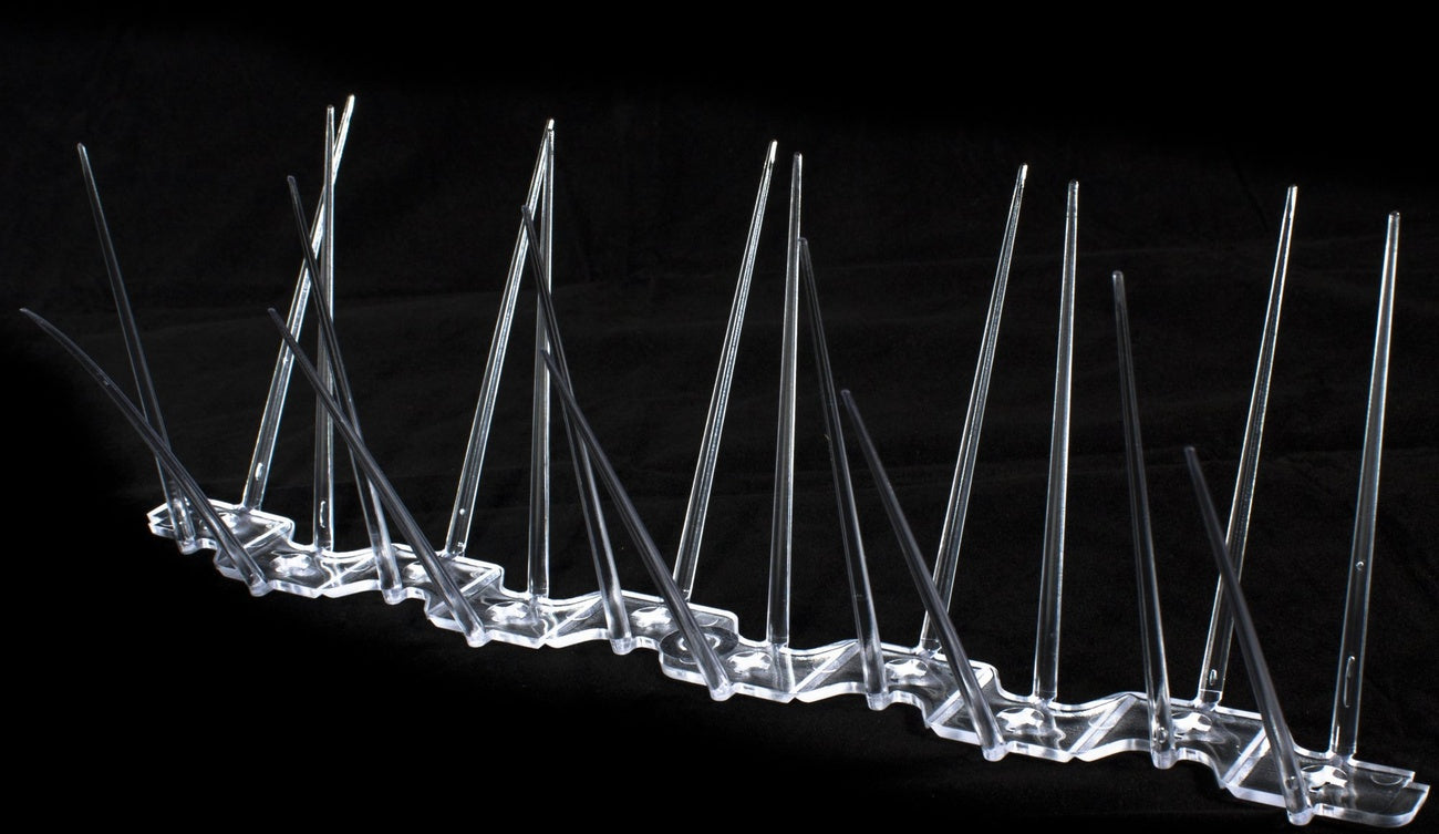 100m Medium Plastic Pigeon Spikes