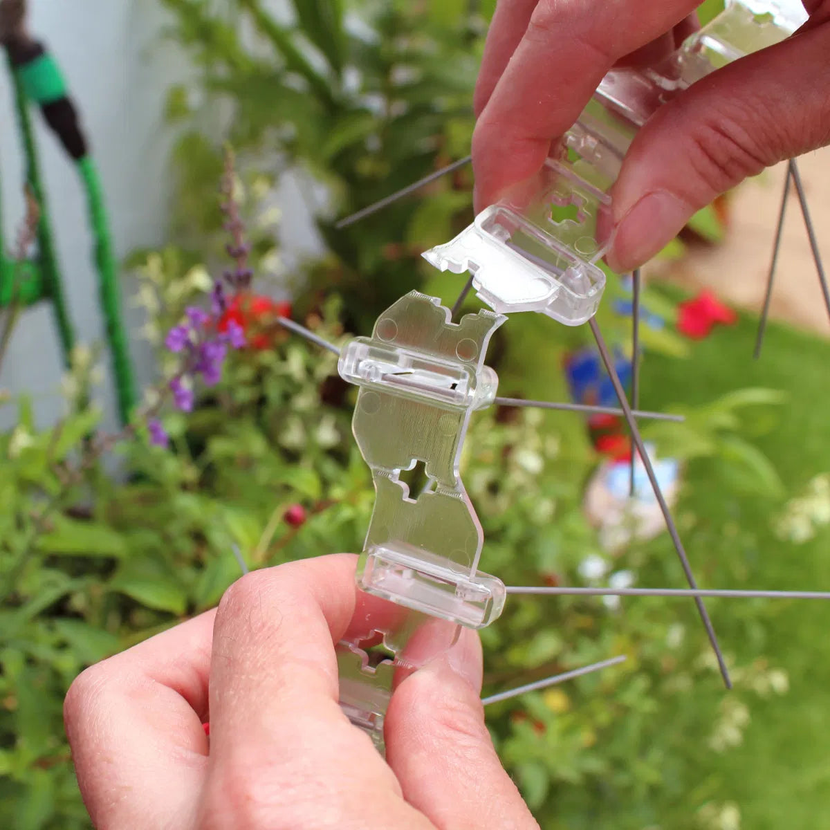 Stainless Steel Seagull Spikes - 40m with FREE Silicone Adhesive